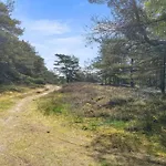 Mikaela - 1km From The Sea By Interhome * Molby